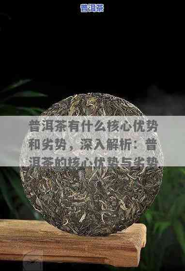 探索文山普洱茶的魅力：特点与优劣分析