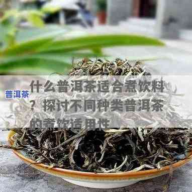 哪种普洱茶适合煮？详解不同品种的适宜煮饮方法