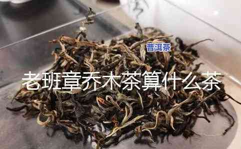 老班章乔木茶算什么茶，揭秘老班章乔木茶的真实身份：它到底是什么茶？