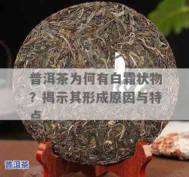 普洱茶的白霜：成分、形成及作用全解析