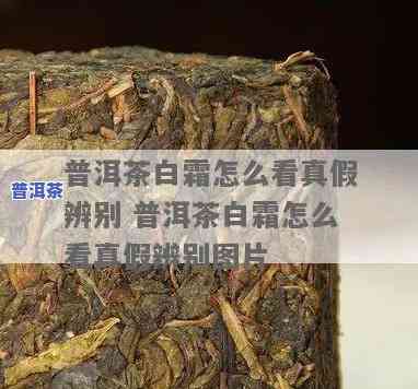 普洱茶白虫和白霜-普洱茶白虫和白霜的区别