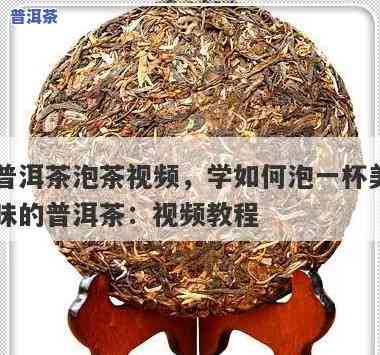 普洱茶直播视频教程，新手入门：普洱茶直播视频教程，轻松掌握泡茶技巧！