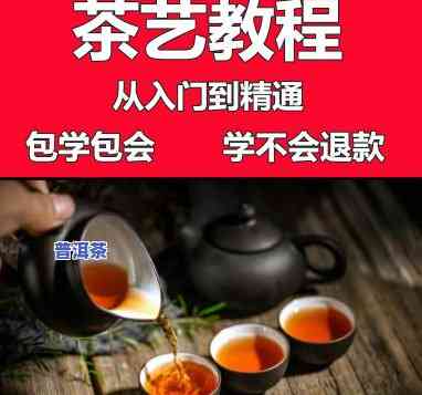 普洱茶直播视频教程，新手入门：普洱茶直播视频教程，轻松掌握泡茶技巧！