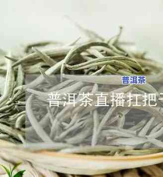 普洱茶直播扛把子-普洱茶直播扛把子视频