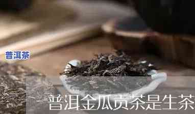 普洱茶放高处还是低处更好呢，普洱茶存放：高处好还是低处好？