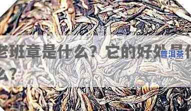 1999年老班章，回顾1999年：老班章普洱茶的历史与故事