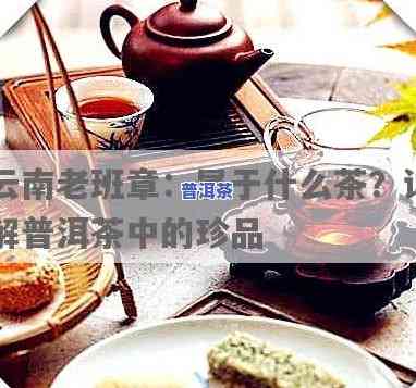 普洱老班章是什么意思，探秘普洱茶中的珍品：老班章的含义与特色