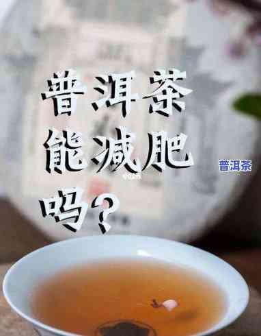 云南一品堂普洱茶2006熟茶，品尝云南特色：一品堂2006年熟普洱茶