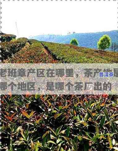 云南一品堂普洱茶2006熟茶，品尝云南特色：一品堂2006年熟普洱茶