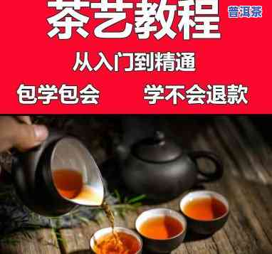 普洱茶直播视频教程，普洱茶新手指南：直播视频教程，从零开始学习品鉴与冲泡技巧