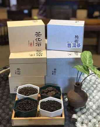 普洱碎银子怎么泡好喝？教你方法，泡出好喝又香的茶汤！