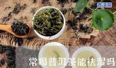 喝普洱茶能有效祛湿吗？女性适用吗？