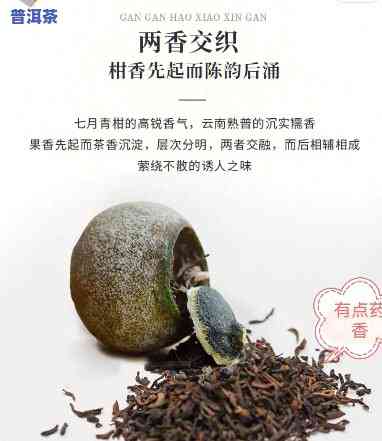 哪些属于高端普洱茶类别？产品、茶叶全面解析