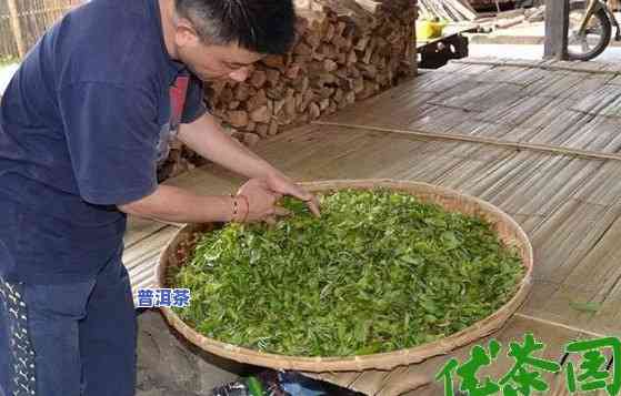 深入熟悉：普洱茶茶饼制作全过程