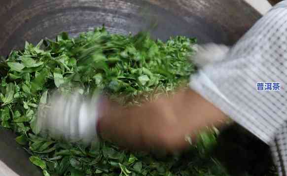 普洱茶饼的制作过程，探秘普洱茶饼的制作过程：从鲜叶到成品的特别工艺