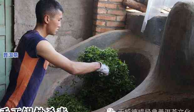 普洱茶饼的制作过程，探秘普洱茶饼的制作过程：从鲜叶到成品的特别工艺