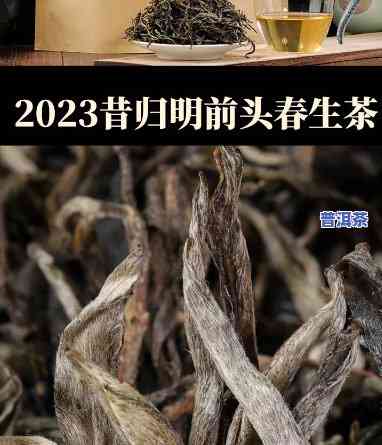 勐傣茶厂昔归，【2023春茶预售】临沧市勐傣茶厂古树普洱生茶 大自然馈赠 昔归 昔归古树纯料茶叶 七子饼茶压制 熟茶198g 昔归生茶248g