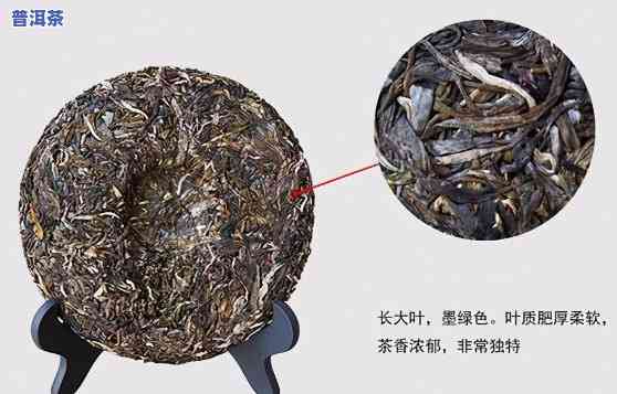 99青普洱茶是什么-普洱茶99青饼是什么意思