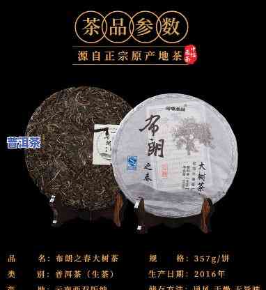 中茶布朗古树：老树茶与大树茶的区别与特点