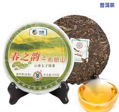 中茶布朗古树：老树茶与大树茶的区别与特点