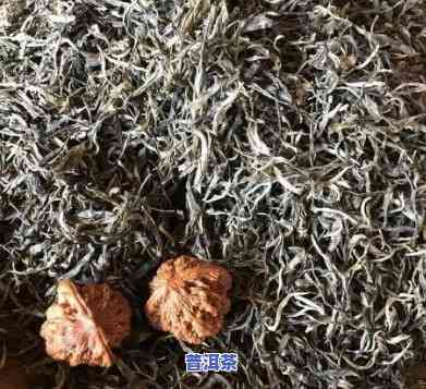 南涧凤凰纪念饼普洱茶-南涧凤凰普洱茶怎么样