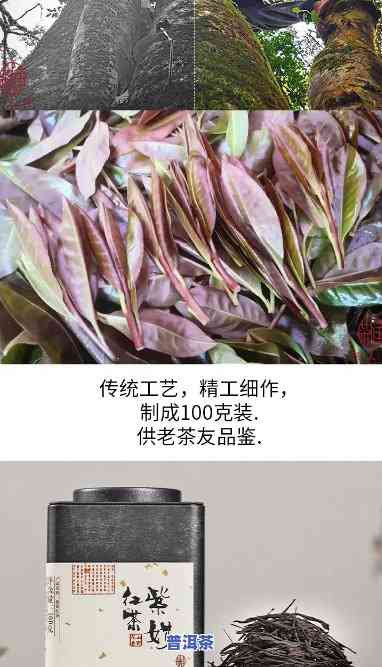 紫娟100克普洱茶-紫娟普洱茶多少钱一斤