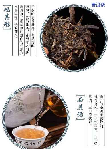 昌泰之美普洱茶价格查询，查普洱茶价，首选昌泰之美！