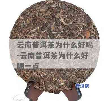 云南普洱茶好喝吗，探究云南普洱茶的口感：它真的好喝吗？