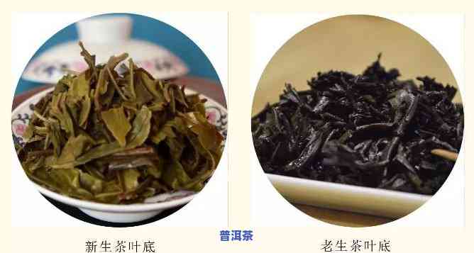 探究生普年份汤色差异：从新茶到老茶的变化解析