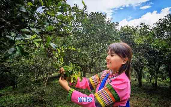 肠痉挛可以喝茶吗？女性适用吗？