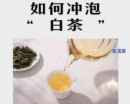 长春普洱茶加盟-长春普洱茶加盟电话