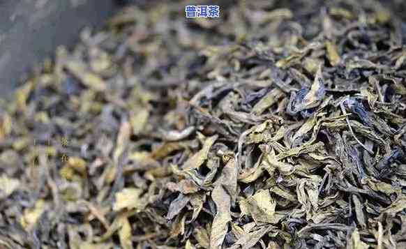 一斤茶叶多少钱？普洱茶叶的价格与口感怎样？