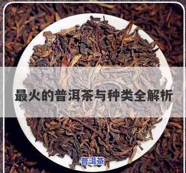 今年比较火的普洱茶品种及推荐