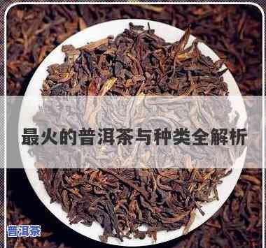 今年比较火的普洱茶-今年比较火的普洱茶有哪些