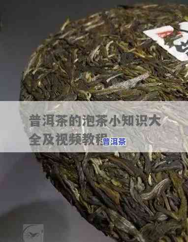 普洱茶直播视频教程大全：从入门到精通