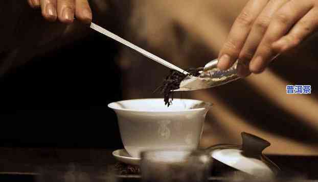 茶馆泡普洱茶技巧：视频 图文教程