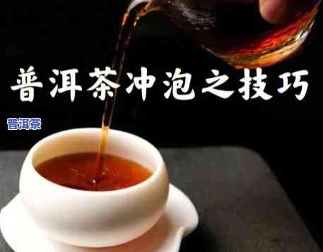 怎样沏普洱茶，完美冲泡普洱茶的技巧：从选茶到品尝的全面指南