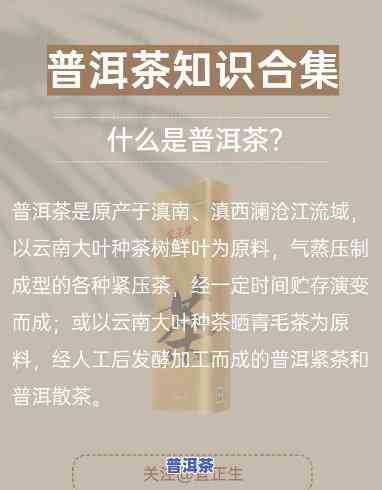 普洱茶得冲多久更好？女性需要留意什么？