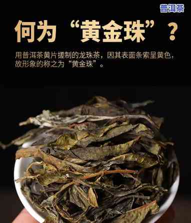 冰岛金珠古树生普茶-金冰岛古树茶多少钱一斤