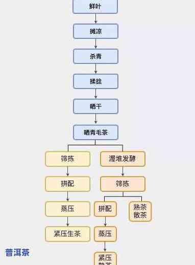 深入熟悉普洱茶熟茶工艺原理：从发酵到品质的关键步骤