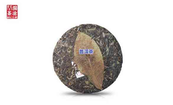 澜沧荒野沱茶，探秘澜沧荒野沱茶：来自云南的古老茶文化瑰宝