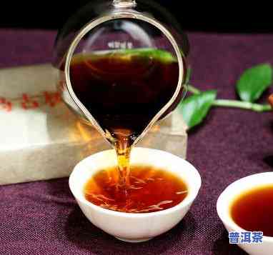 普洱茶枣香，品味特别口感：探索普洱茶与枣香的完美融合