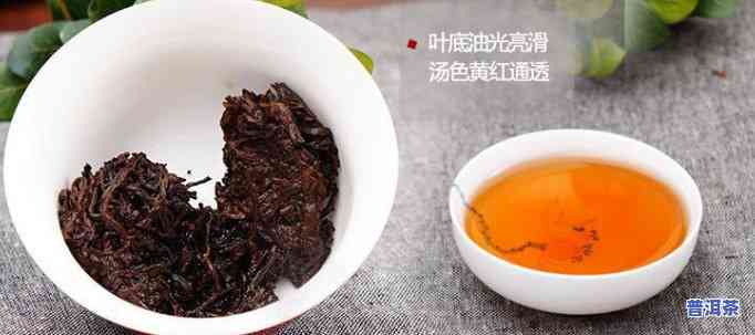 普洱茶泡出来有腥味：正常吗？起因是什么？