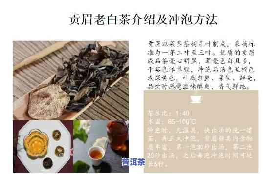 普洱茶白茶视频讲解：深入解析茶叶品种与冲泡技巧