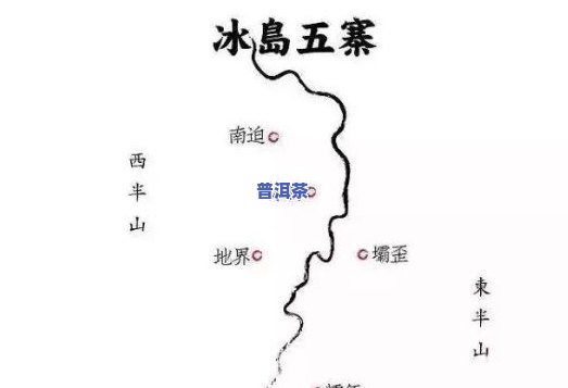 冰岛古树与班章古树：普洱茶的口感与价值差异