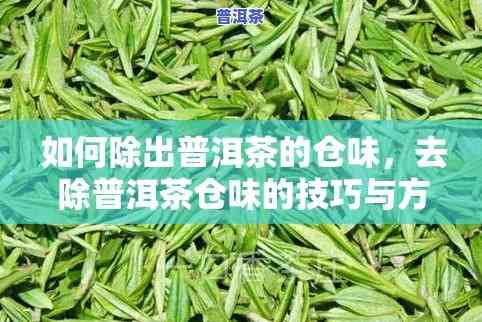 普洱茶仓味怎么去除，怎样去除普洱茶仓味？方法大揭秘！