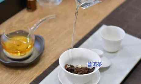 生普洱茶饼冲泡方法：详细步骤与技巧