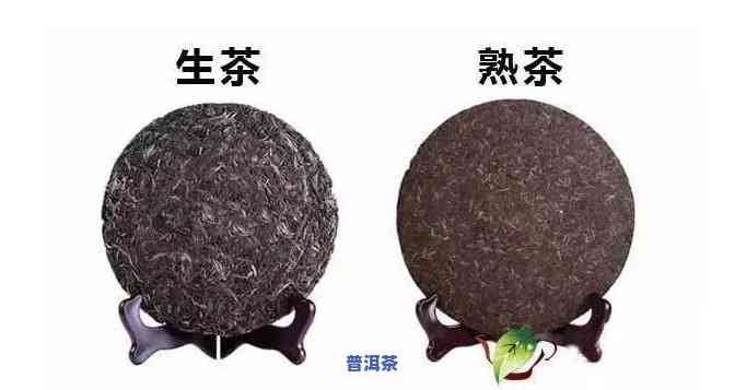 普洱茶生茶熟茶口味区别：深入熟悉两者差异