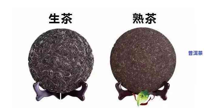 普洱生茶熟茶口感区别，品味差异：普洱生茶与熟茶的口感比较