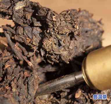 98年下关熟茶：经典老砖与传统坨状的不同口感探索